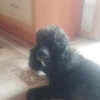 Владимир Ф.