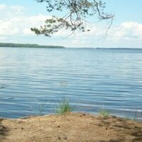 Елена Хамзина