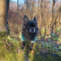 Любовь Ломакина