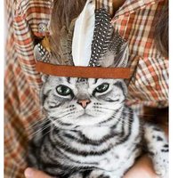 Екатерина Ш.