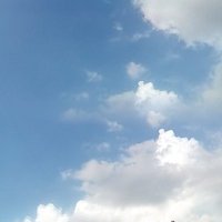 Юлия Лихацкая