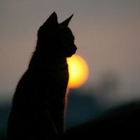 Ольга Балашова