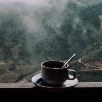 Гарифулина Анна