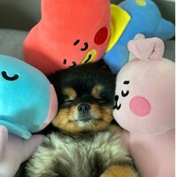 Анастасия_onika