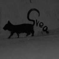 Денис Долохов