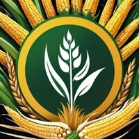 Денис Сабинин