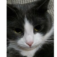 Никита Лепёхин