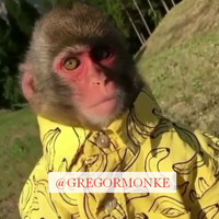 Григорий Никулин