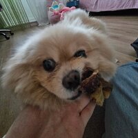 Кристина Журавлева