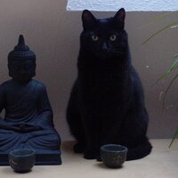 Вусал Юсифов