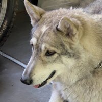 Андрей Доронин