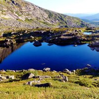 Дарья Елизарьева