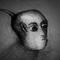 Александра Соловцова