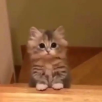 Мария Матвеева