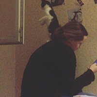 Алиса Миронова