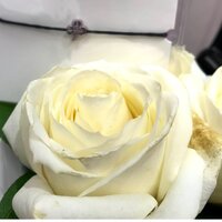 Анастасия Селезнева