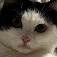 Ксения Сидорова