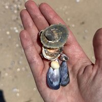 Светлана Ж.