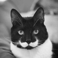 Александр Александрович