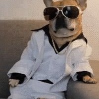 Сергей Шевченко