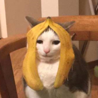 Вячеслав Ч.