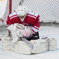 Матвей Ботов