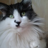 Светлана Рудакова