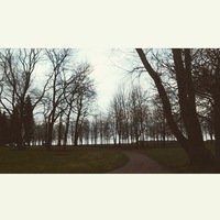 Анастасия Колпакова