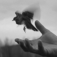 Расул Гапизов