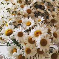 Владлена Б.