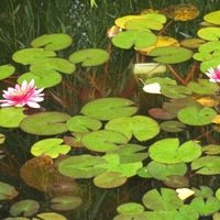 Анна Иванова