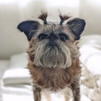 Смирнов В.Ю.