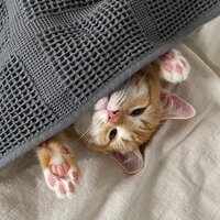 Сайм