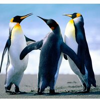 Автор отзыва Мария Юмангулова