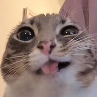 Станислав Петин