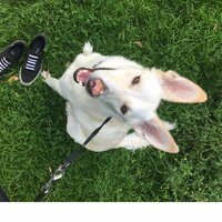 Вера Степанова