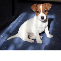 Сергей Кузнецов