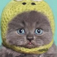 Евгений Перекрестов