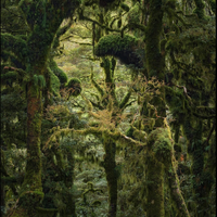 Алина Иванко