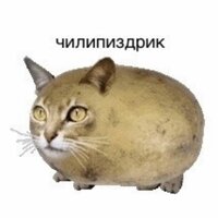 Анастасия Медведева