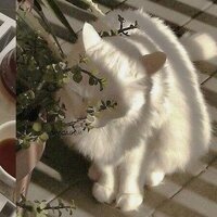 Виктория Карпекина