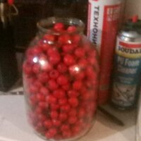 Сергей Калина