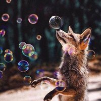 Инга Гришина