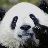 Дмитрий Воронов