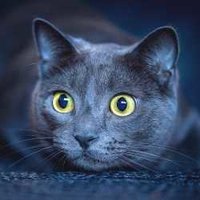 Мария Демидова