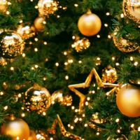 Екатерина Хоружева