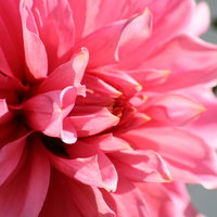 Марина Владимировна