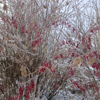 Склярова Алина