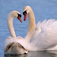 Айсулу Кенжибаева