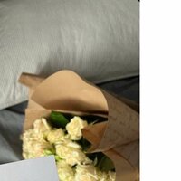 Анастасия Трифонова